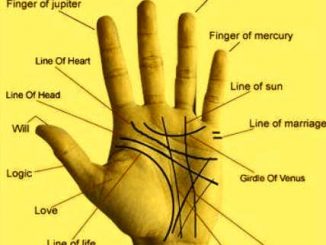 Future Husband Prediction By Palmistry