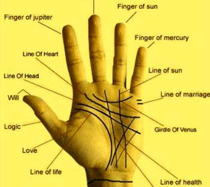 Future Husband Prediction By Palmistry