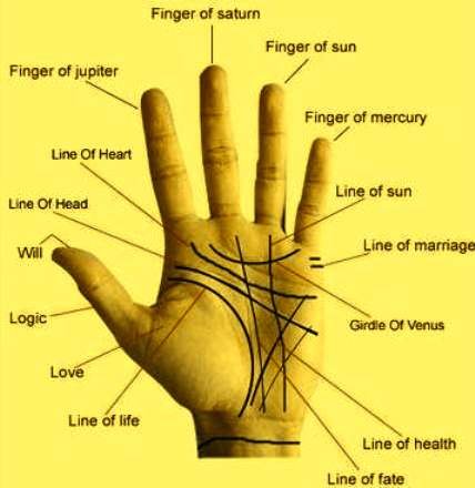 Future Husband Prediction By Palmistry