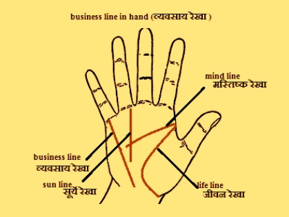 Palm Reading For Business Success