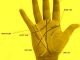 Education Line In Palmistry