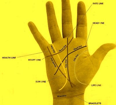 Education Line In Palmistry